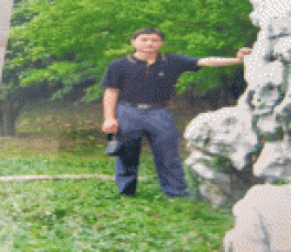 寻亲：马飞