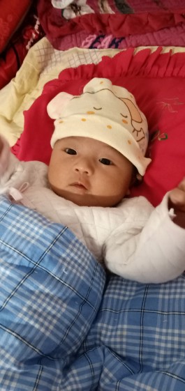 寻亲：王昕蕾