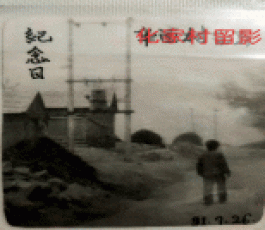 寻亲：大强