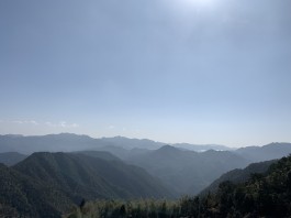 寻亲：林根生